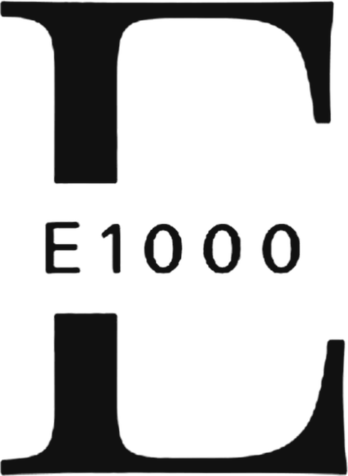 E1000
